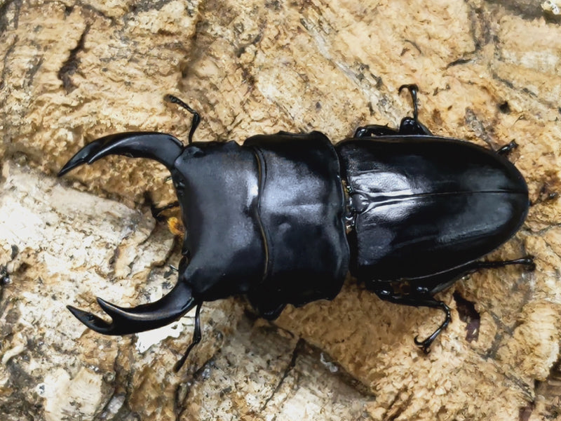 2022.12.26.新入荷!!