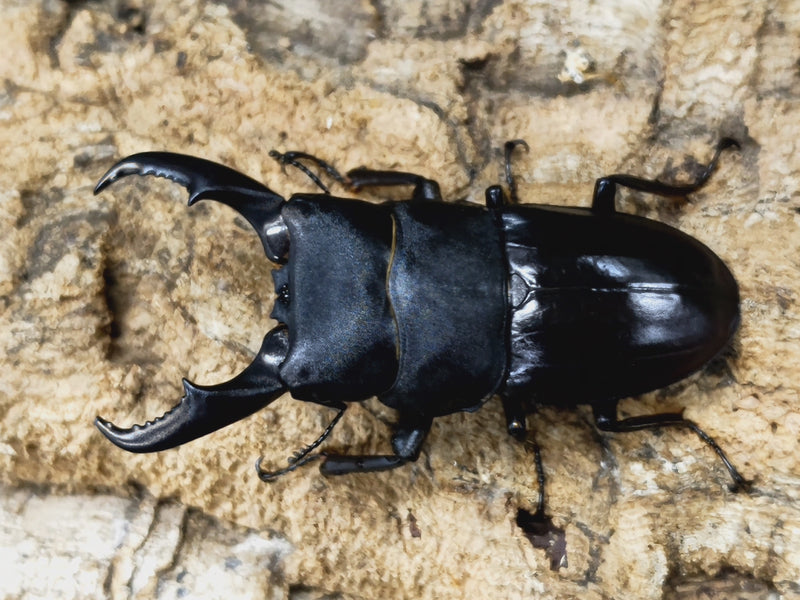 2022.12.27.新入荷!!