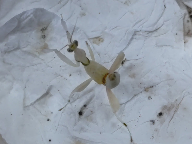 2023.1.3.新入荷!!