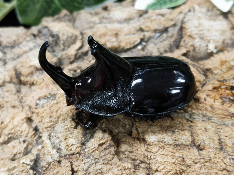 2023.1.4.新入荷!!