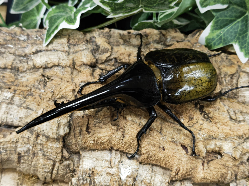 2023.1.7.新入荷!!