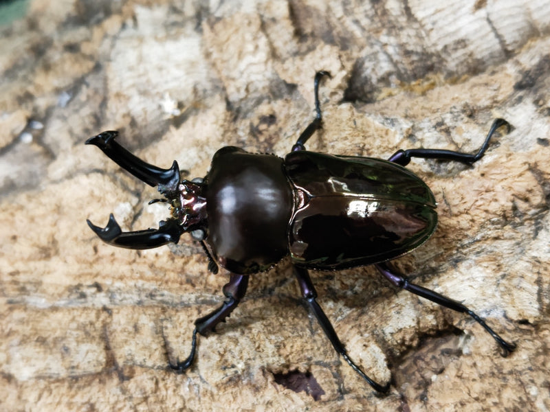 2023.1.9.新入荷!!