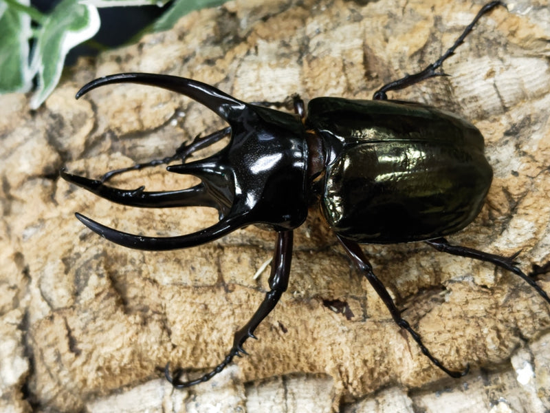 2023.1.15.新入荷!!