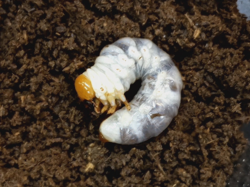 2023.1.16.新入荷!!