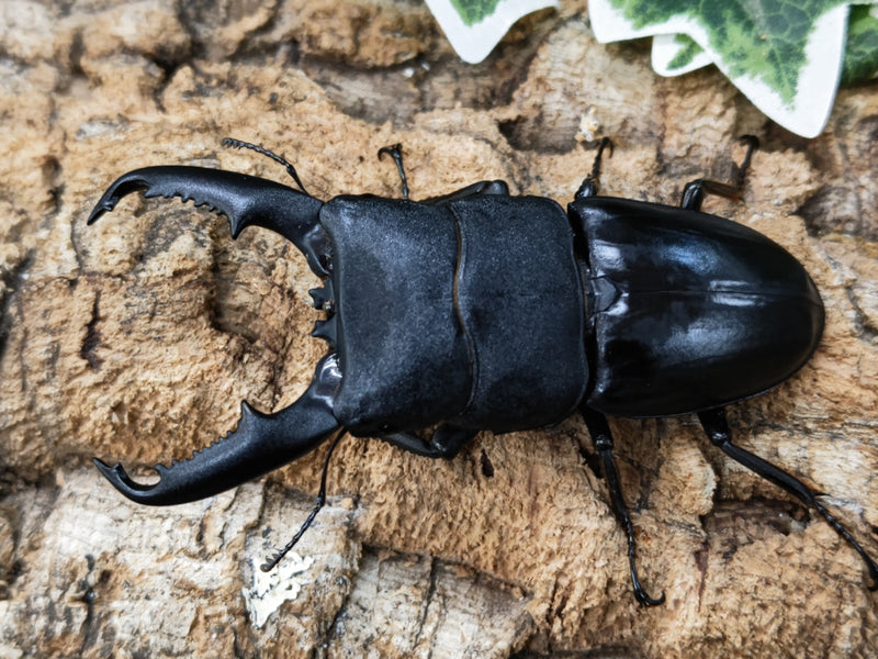 2023.1.21.新入荷!!