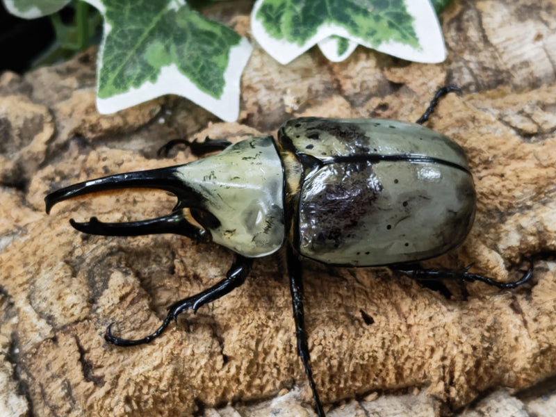 2023.1.22.新入荷!!