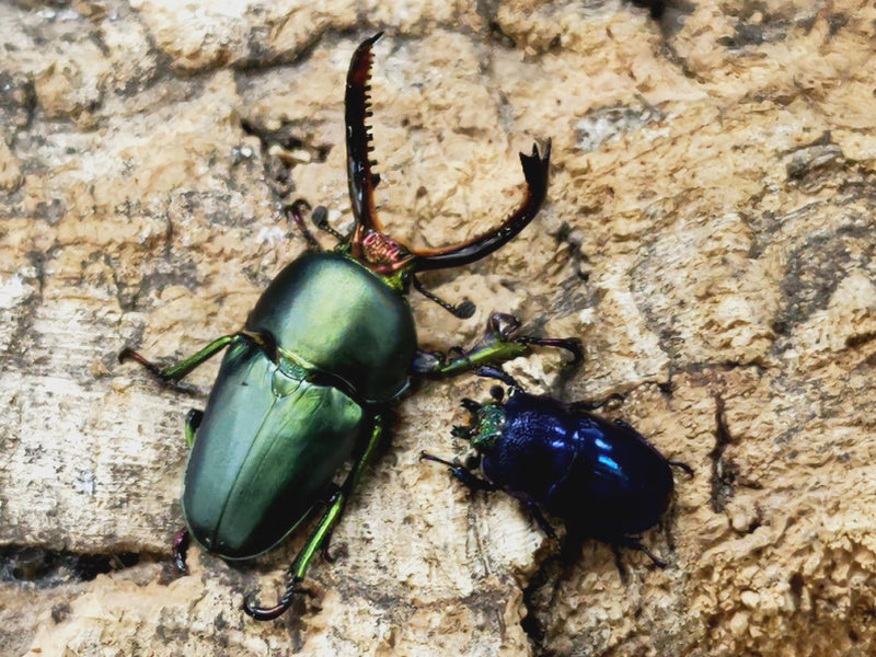 2023.1.23.新入荷!!