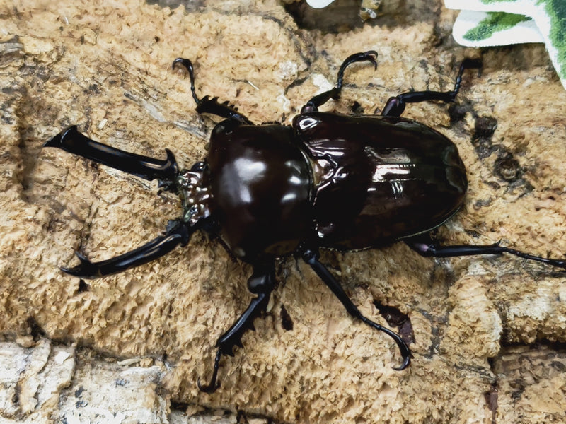 2023.1.28.新入荷!!