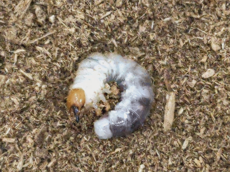 2023.1.30.新入荷!!