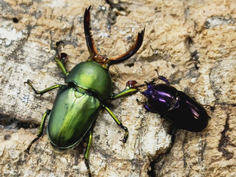 2023.2.2.新入荷!!