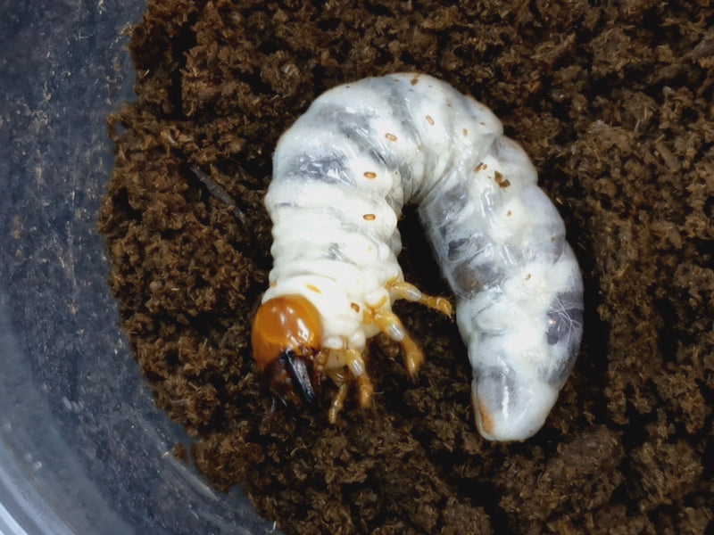 2023.2.4.新入荷!!