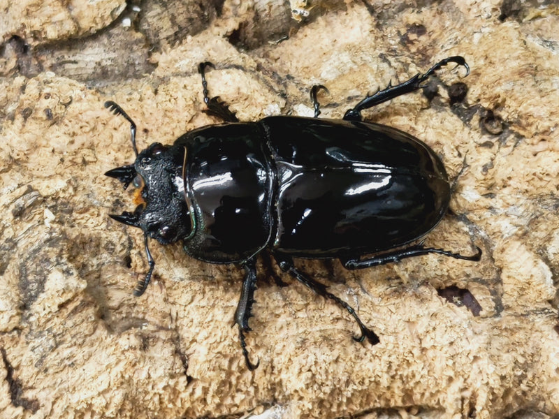 2023.2.5.新入荷!!