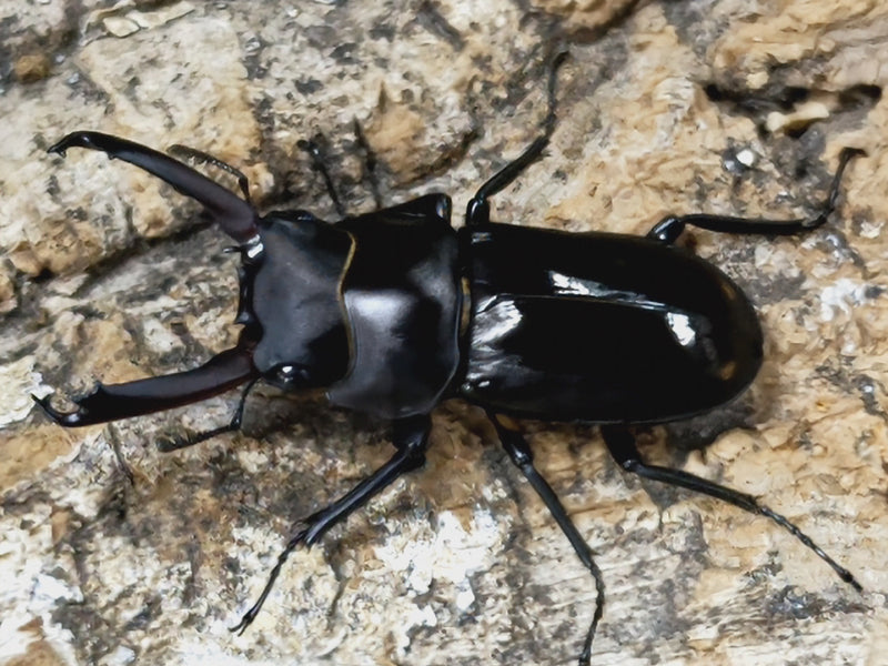 2023.2.7.新入荷!!