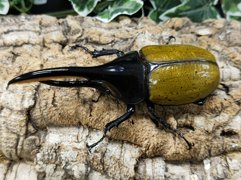 2023.2.10.新入荷!!