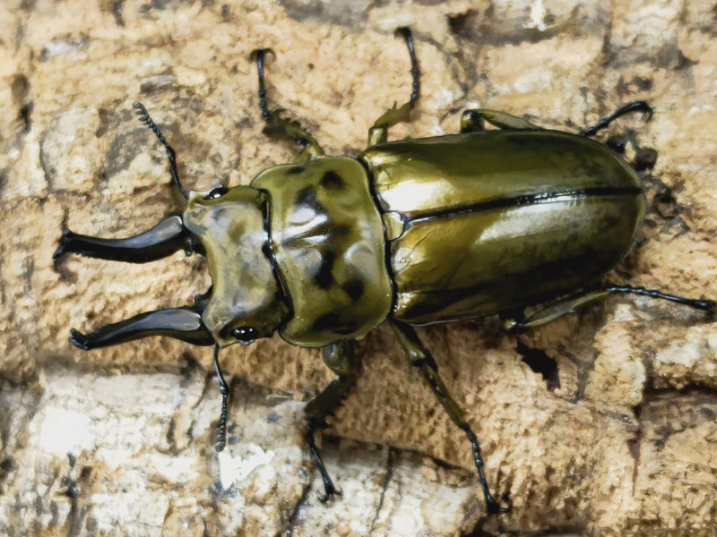 2023.2.16.新入荷!!