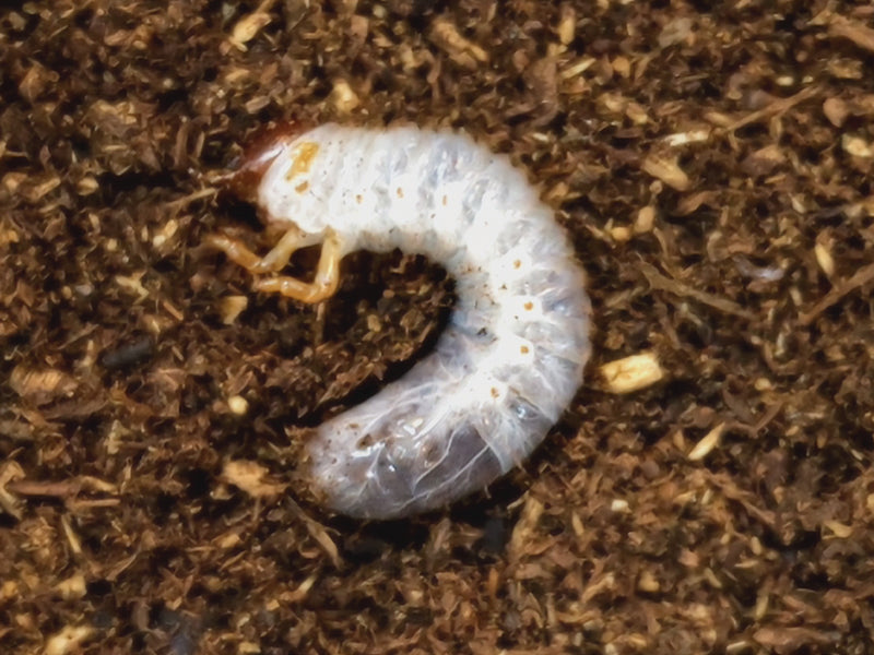 2023.2.18.新入荷!!