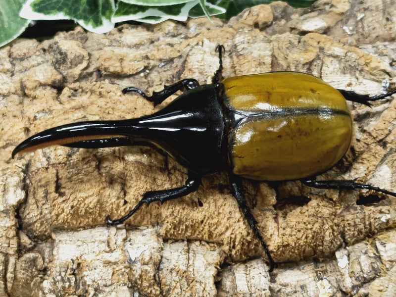 202302.19.新入荷!!