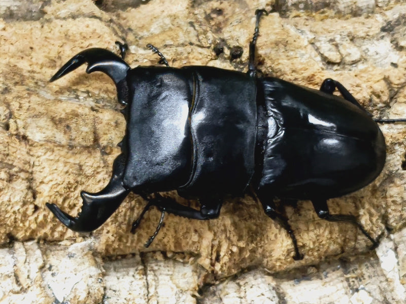 2023.2.20.新入荷!!