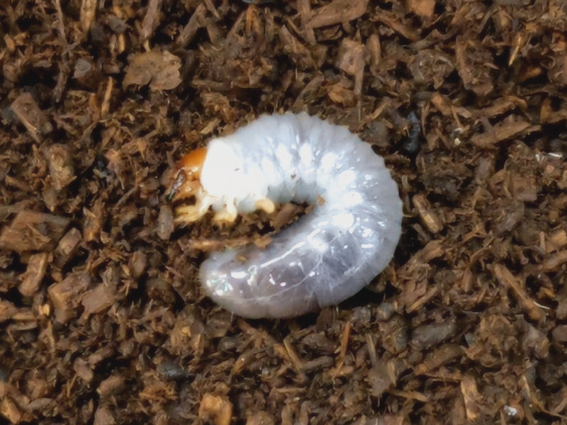 2023.2.23.新入荷!!