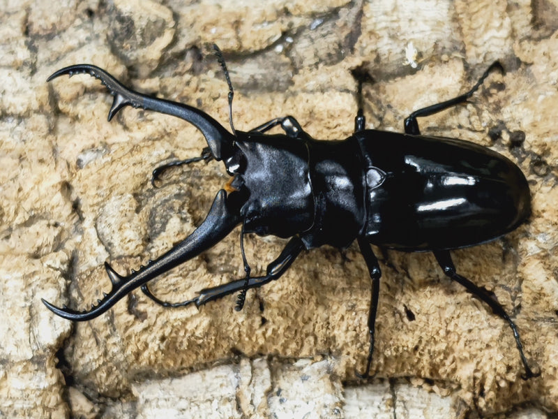 2023.2.25.新入荷!!