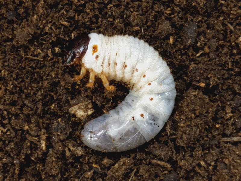 2023.2.26.新入荷!!