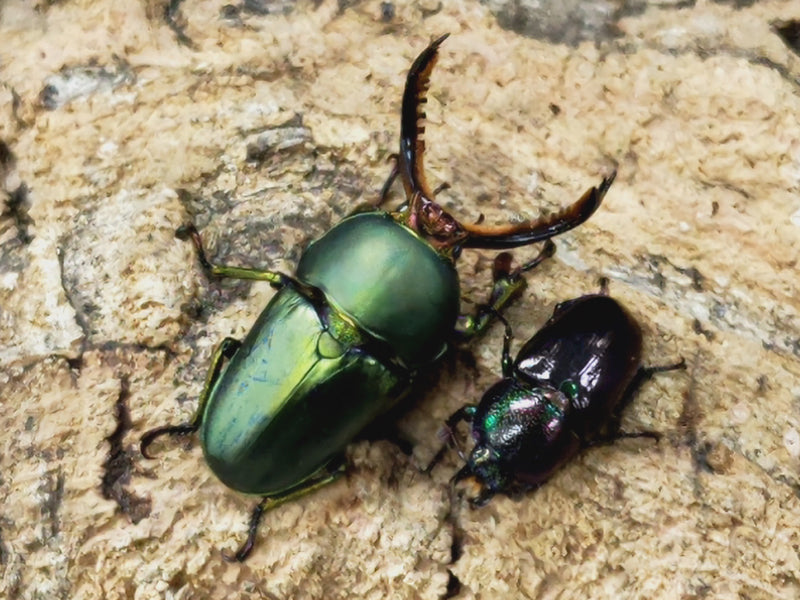 2023.3.2.新入荷!!