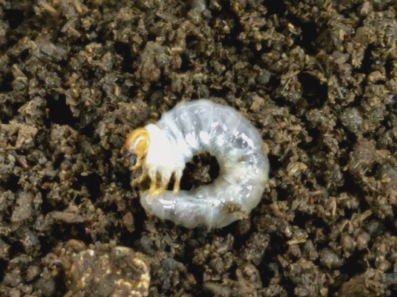 2023.3.4.新入荷!!