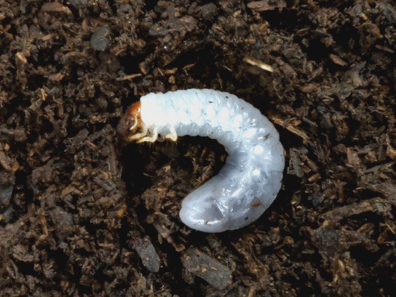 2023.3.5.新入荷!!