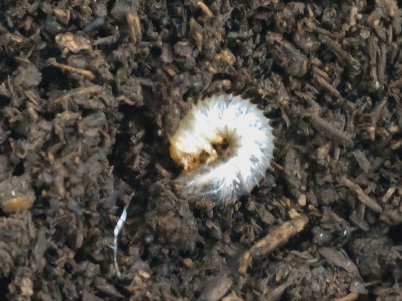 2023.3.9.新入荷!!