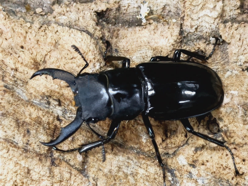 2023.3.14.新入荷!!