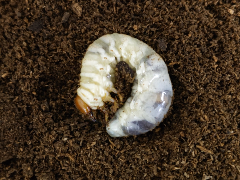 2022.3.18.新入荷!!