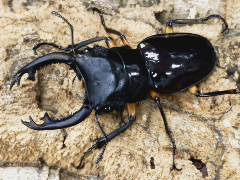 2023.3.19.新入荷!!