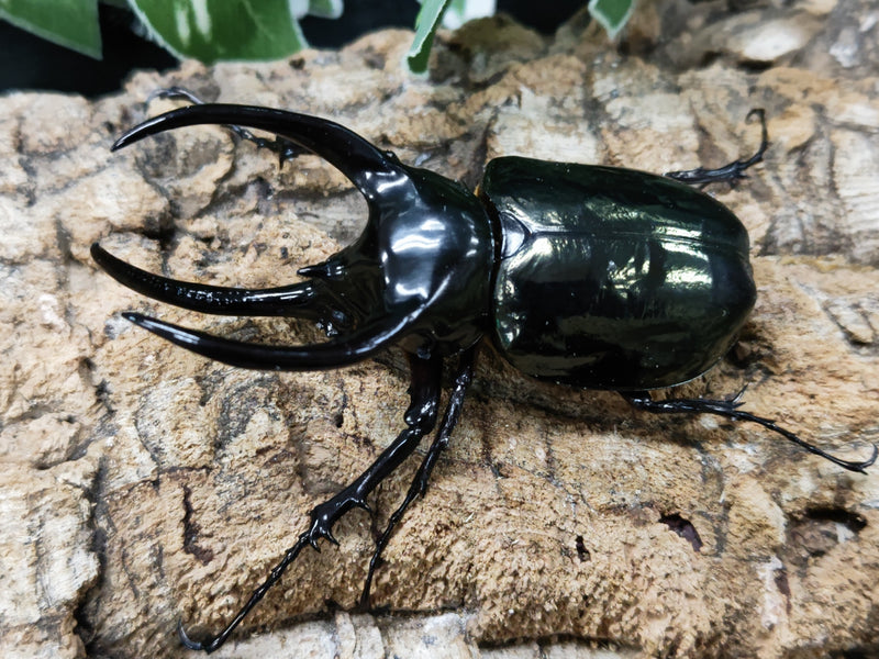 2023.3.24.新入荷!!