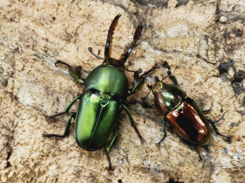 2023.3.30.新入荷!!