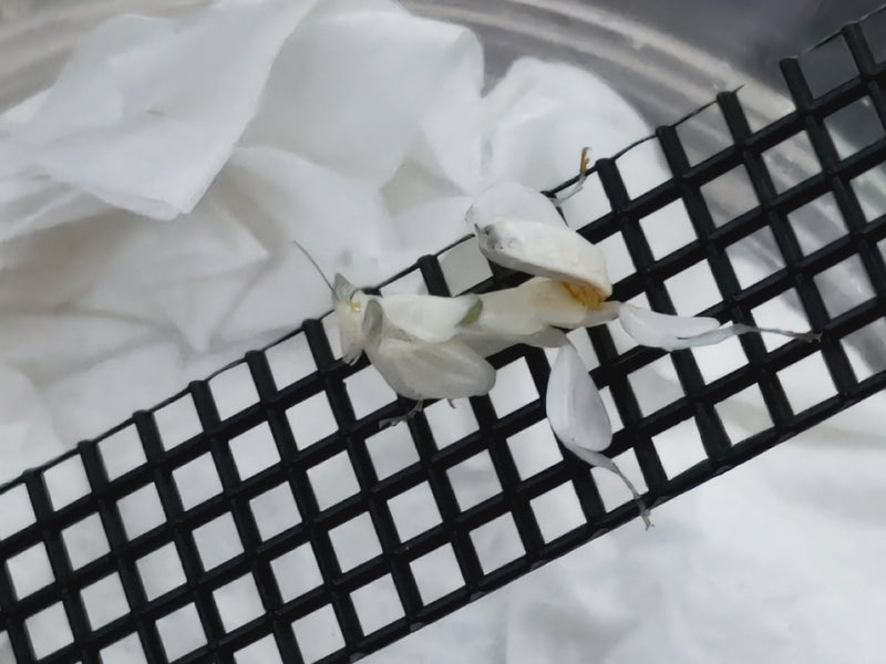 2023.4.3.新入荷!!