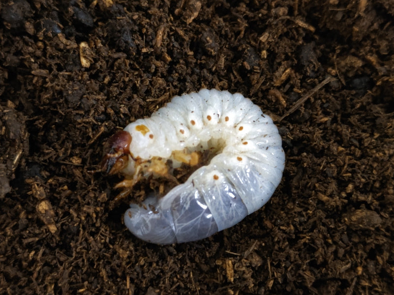 2023.4.4.新入荷!!