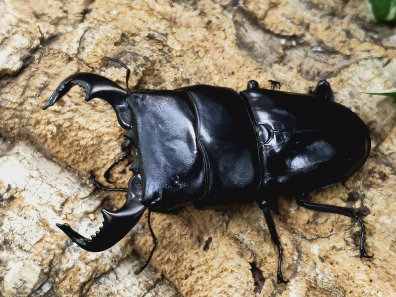 2023.4.10.新入荷!!