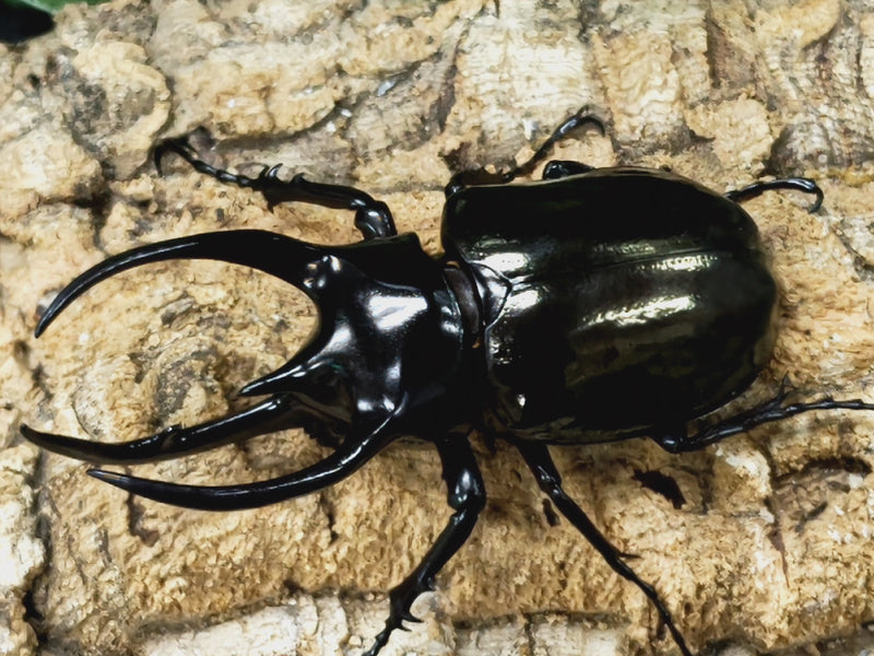 2023.4.16.新入荷!!