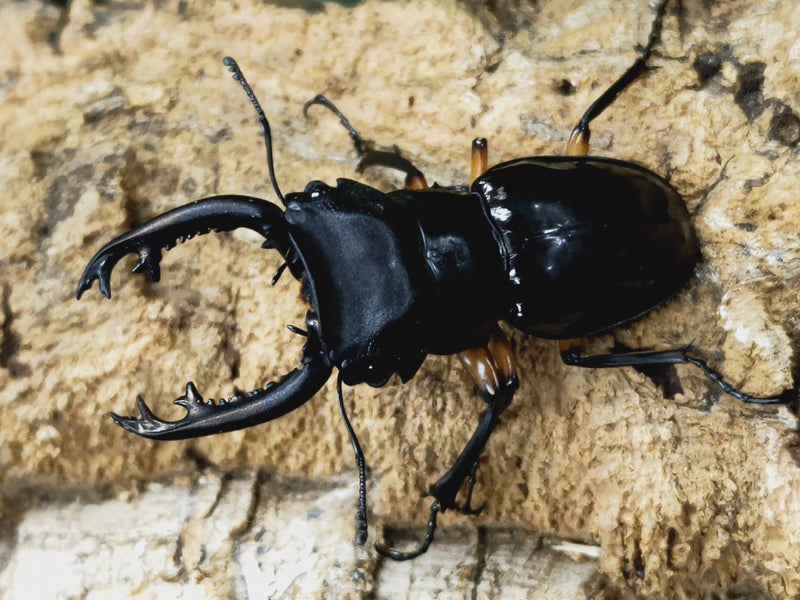 2023.4.24.新入荷!!