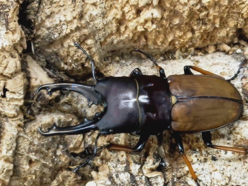 2023.4.28.新入荷!!