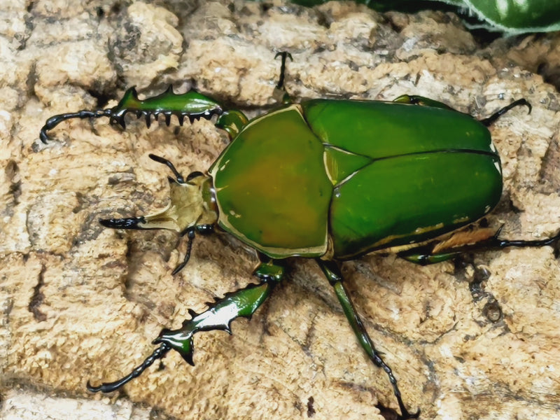 2023.4.30.新入荷!!