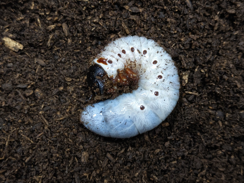 2023.5.5.新入荷!!