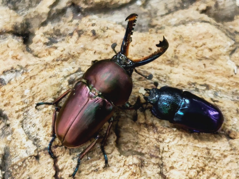 2023.5.6.新入荷!!