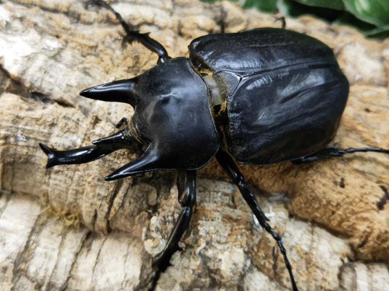 2023.5.7.新入荷!!