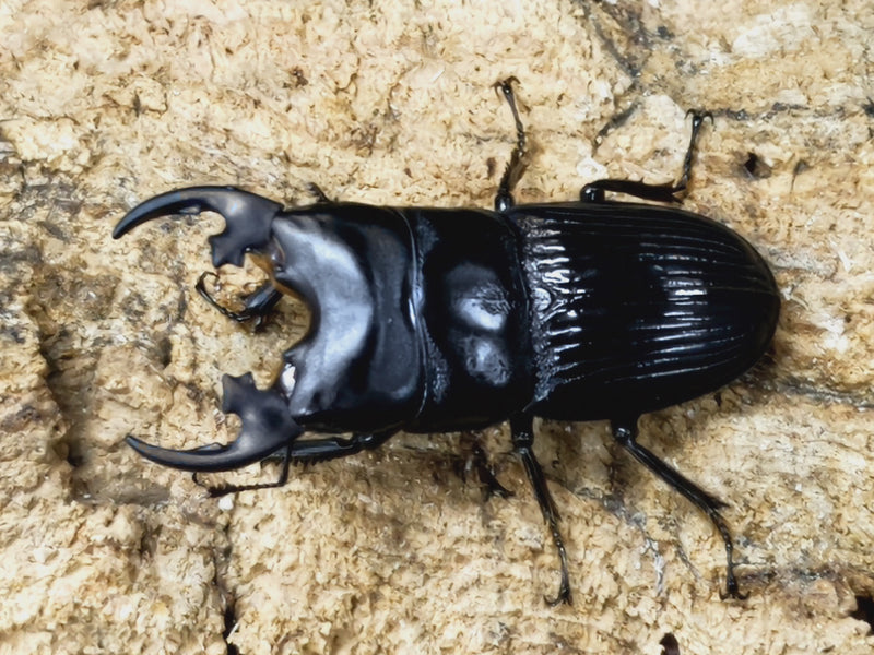 2023.5.8.新入荷!!