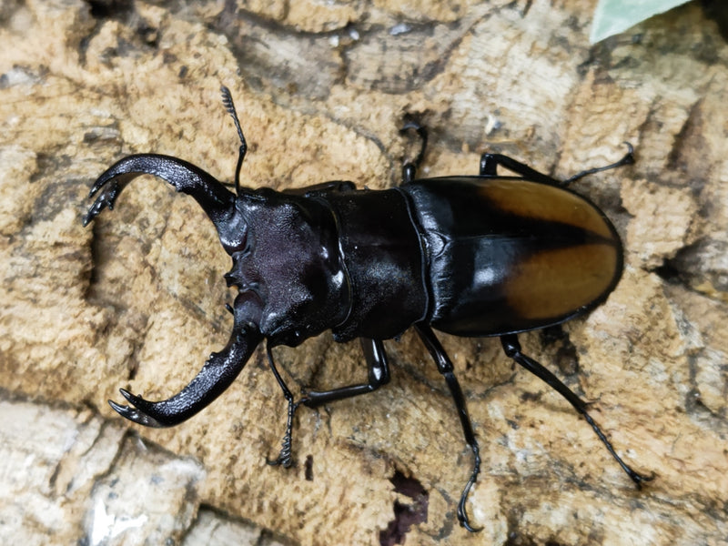 2023.5.9.新入荷!!