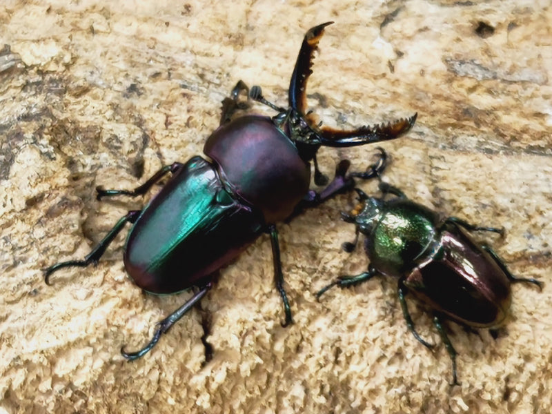 2023.5.14.新入荷!!