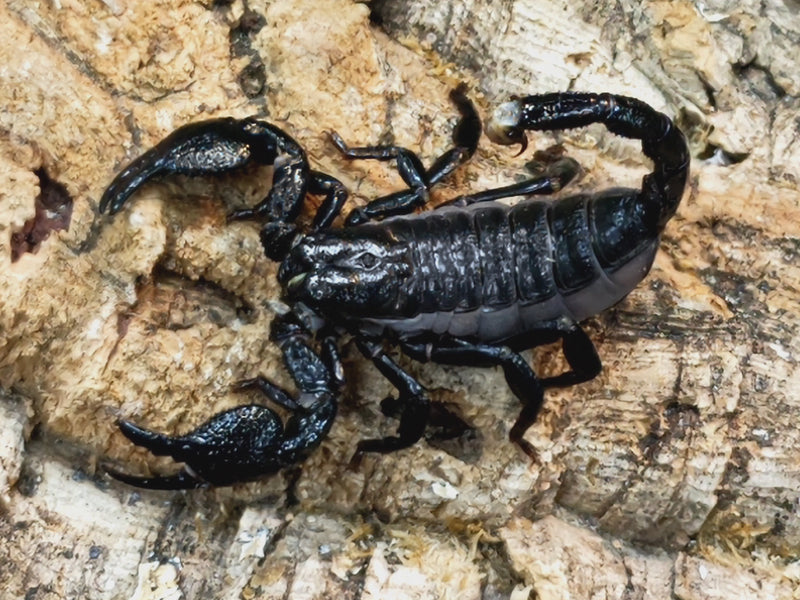 2023.5.19.新入荷!!