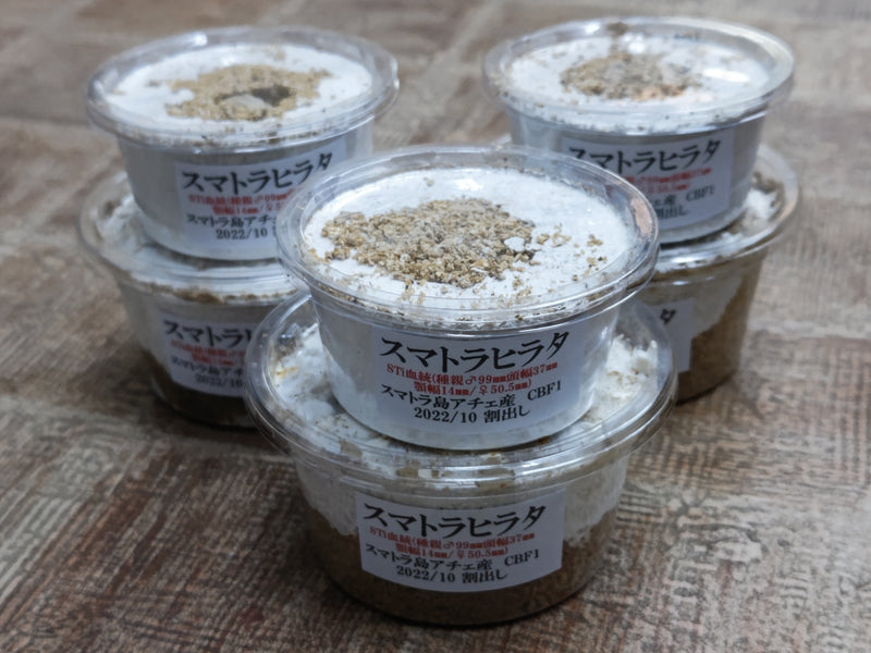 2023.5.20.新入荷!!