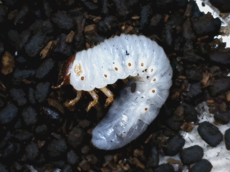 2023.5.25.新入荷!!